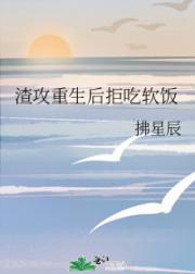 渣攻重生后拒吃软饭