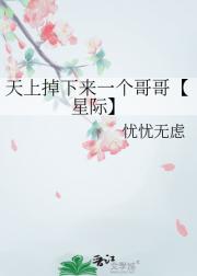 天上掉下来一个哥哥【星际】