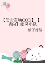 （COD）（哨向）幽灵小队
