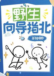 野生向导指北