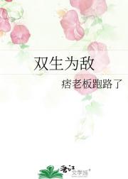 双生为敌