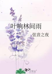 叶响林间雨