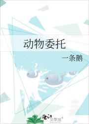 动物委托