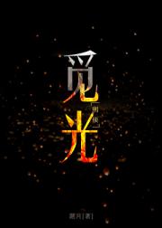 觅光