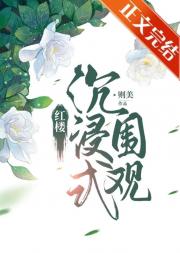 红楼沉浸式围观