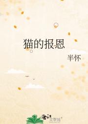 猫的报恩