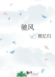 驰风