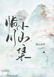 临川小山集