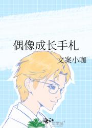 偶像成长手札