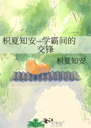 枳夏知安--学霸间的交锋