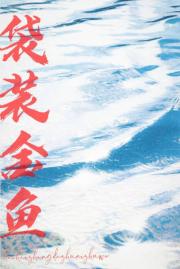 袋装金鱼