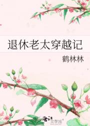 退休老太穿越记