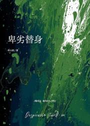 卑鄙的男替身