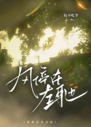 风停在左耳边