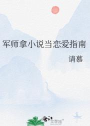 军师拿小说当恋爱指南