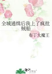 全城通缉后我上了疯批贼船