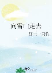 向雪山走去