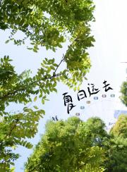 夏日远去