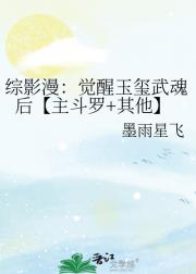 综影漫：觉醒玉玺武魂后【主斗罗+其他】