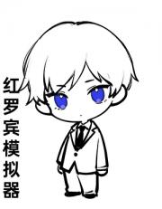 红罗宾模拟器