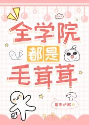 全学院都是毛茸茸