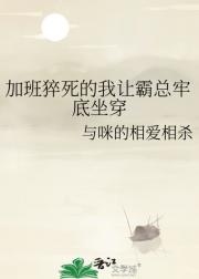 加班猝死的我让霸总牢底坐穿