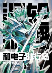 [综英美/变形金刚]涡轮狐狸和电子陆行鸟