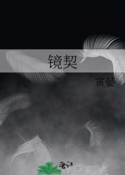 镜契