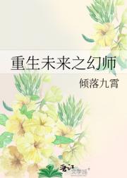 重生未来之幻师