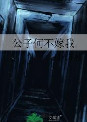 公子何不嫁我