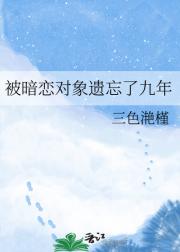 被暗恋对象遗忘了九年