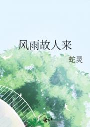 风雨故人来