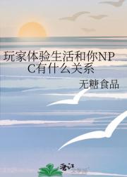 玩家体验生活和你NPC有什么关系