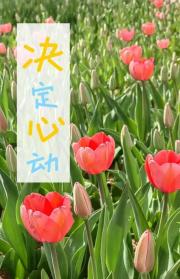 决定心动