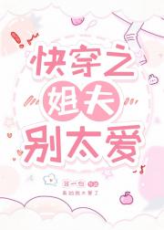 快穿之姐夫别太爱