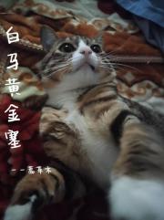 白马黄金塞