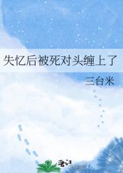 失忆后被死对头缠上了