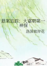 悬案追踪：大嘉朝第一神探