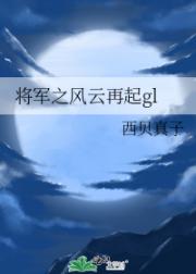 将军之风云再起gl