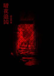 暗夜追凶［刑侦］