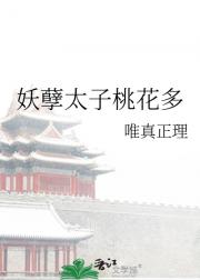 妖孽太子桃花多