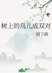 树上的鸟儿成双对