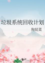垃圾系统回收计划