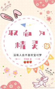 【宝可梦】取向为精灵