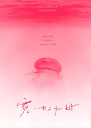 霓虹水母