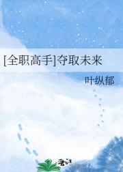 [全职高手]夺取未来