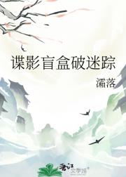 谍影盲盒破迷踪
