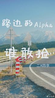 路边的Alpha，谁敢捡？