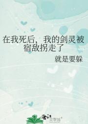 在我死后，我的剑灵被宿敌拐走了