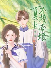 夏日不撞南墙